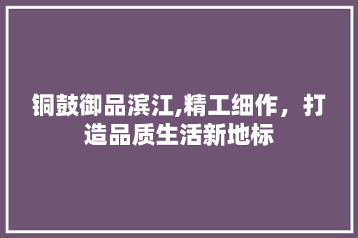 铜鼓御品滨江,精工细作，打造品质生活新地标 室内设计