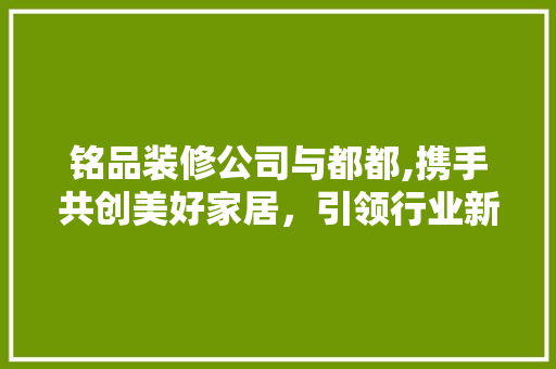 铭品装修公司与都都,携手共创美好家居，引领行业新风尚 客厅装修