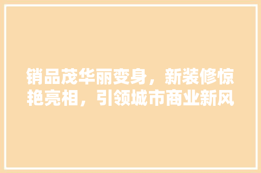 销品茂华丽变身，新装修惊艳亮相，引领城市商业新风尚 现代风格装饰