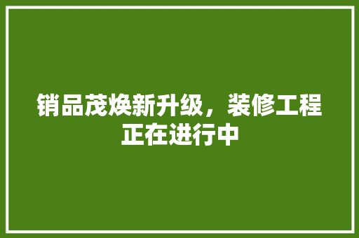 销品茂焕新升级，装修工程正在进行中 中式风格装饰