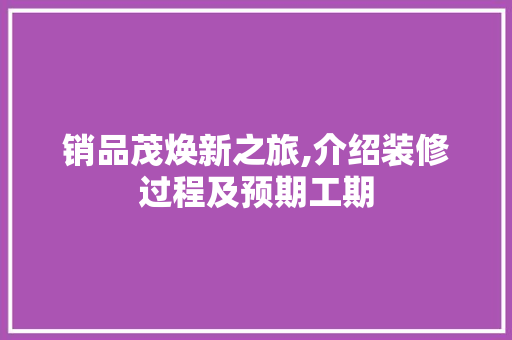 销品茂焕新之旅,介绍装修过程及预期工期 家居装修