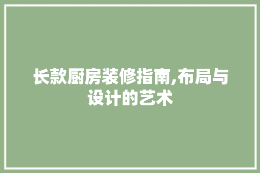长款厨房装修指南,布局与设计的艺术 现代风格装饰