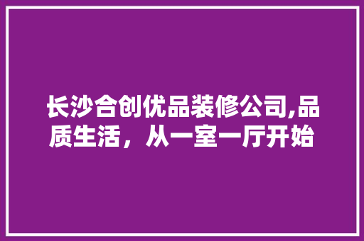长沙合创优品装修公司,品质生活，从一室一厅开始 客厅装修