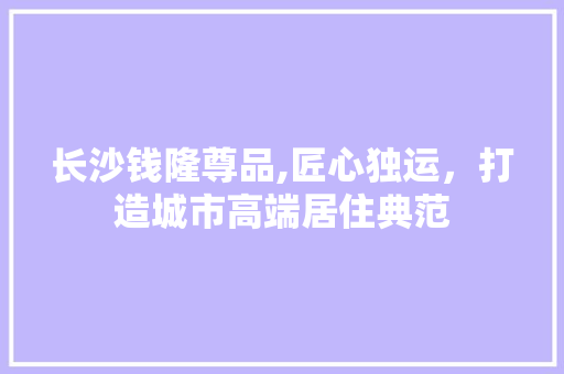 长沙钱隆尊品,匠心独运，打造城市高端居住典范 现代风格装饰