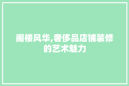 阁楼风华,奢侈品店铺装修的艺术魅力 软装设计