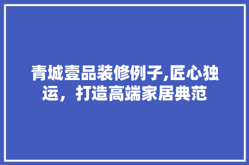 青城壹品装修例子,匠心独运，打造高端家居典范 软装设计
