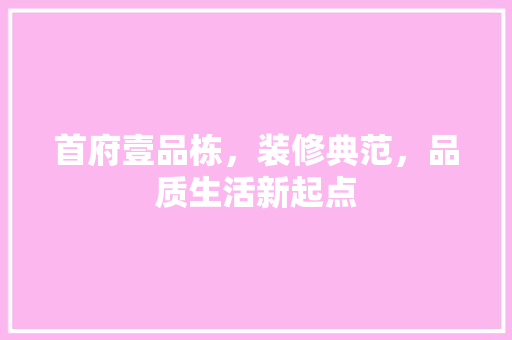 首府壹品栋，装修典范，品质生活新起点 卧室装修