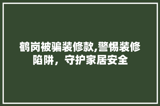 鹤岗被骗装修款,警惕装修陷阱，守护家居安全 中式风格装饰