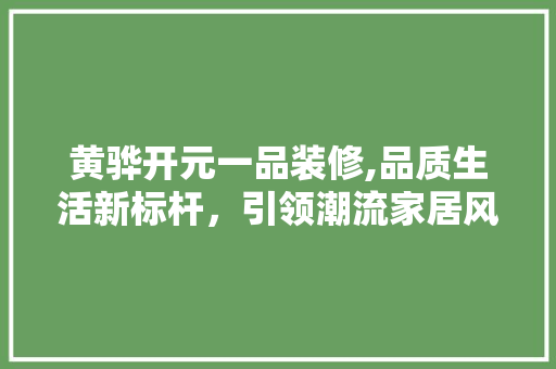 黄骅开元一品装修,品质生活新标杆，引领潮流家居风尚
