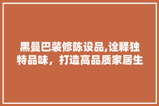 黑曼巴装修陈设品,诠释独特品味，打造高品质家居生活