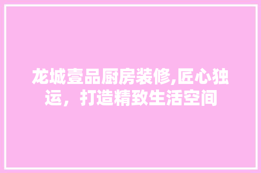 龙城壹品厨房装修,匠心独运，打造精致生活空间