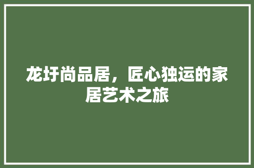 龙圩尚品居，匠心独运的家居艺术之旅 现代风格装饰