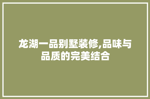 龙湖一品别墅装修,品味与品质的完美结合
