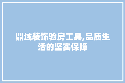 鼎域装饰验房工具,品质生活的坚实保障