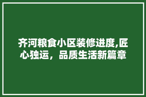 齐河粮食小区装修进度,匠心独运，品质生活新篇章 室内设计