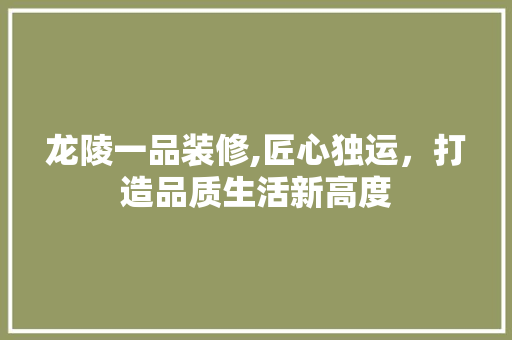 龙陵一品装修,匠心独运，打造品质生活新高度 现代风格装饰