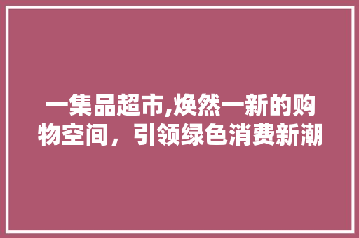 一集品超市,焕然一新的购物空间，引领绿色消费新潮流 软装设计