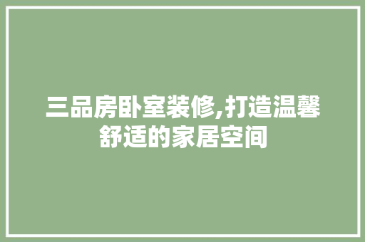 三品房卧室装修,打造温馨舒适的家居空间 卧室装修