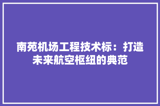 南苑机场工程技术标：打造未来航空枢纽的典范 家居装修