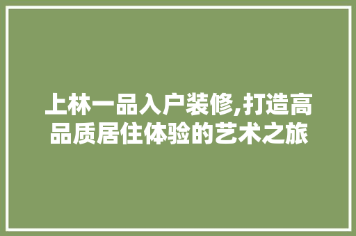 上林一品入户装修,打造高品质居住体验的艺术之旅