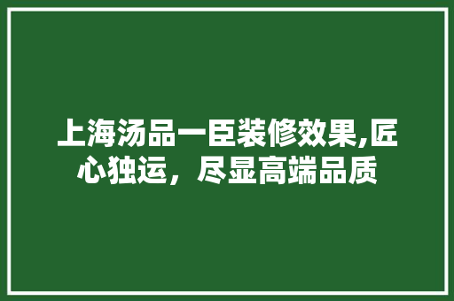 上海汤品一臣装修效果,匠心独运，尽显高端品质