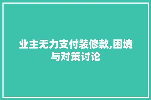业主无力支付装修款,困境与对策讨论 现代风格装饰