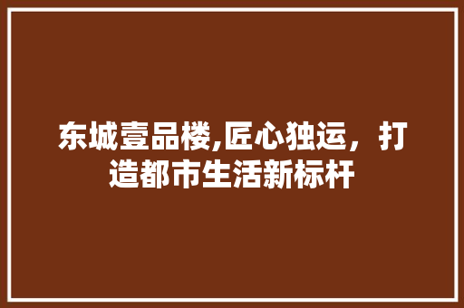 东城壹品楼,匠心独运，打造都市生活新标杆
