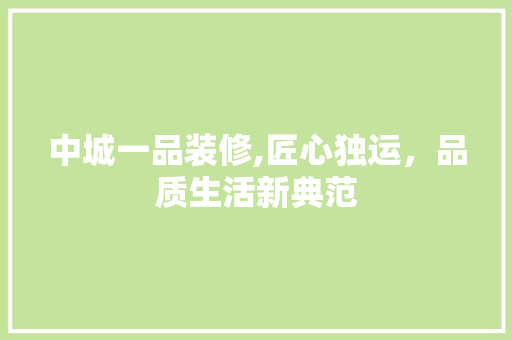 中城一品装修,匠心独运，品质生活新典范