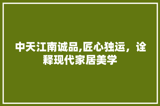中天江南诚品,匠心独运，诠释现代家居美学