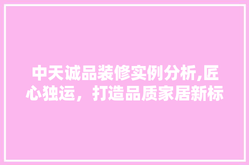 中天诚品装修实例分析,匠心独运，打造品质家居新标杆
