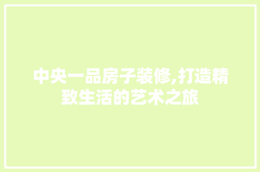 中央一品房子装修,打造精致生活的艺术之旅 室内设计