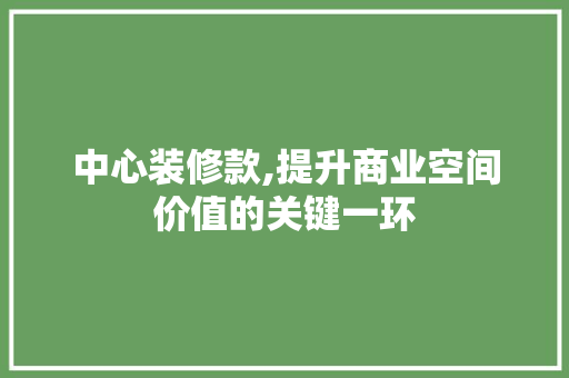 中心装修款,提升商业空间价值的关键一环