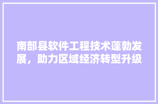 南部县软件工程技术蓬勃发展，助力区域经济转型升级