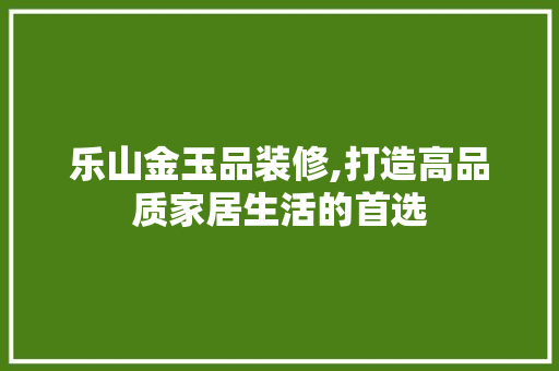 乐山金玉品装修,打造高品质家居生活的首选