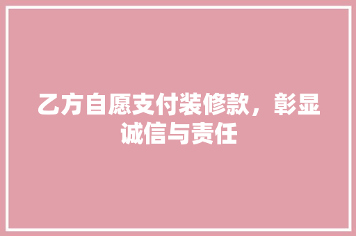 乙方自愿支付装修款，彰显诚信与责任