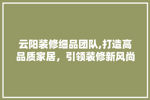云阳装修细品团队,打造高品质家居，引领装修新风尚