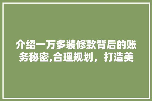 介绍一万多装修款背后的账务秘密,合理规划，打造美好家居 客厅装修