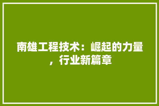南雄工程技术：崛起的力量，行业新篇章