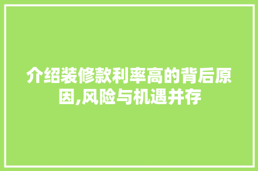 介绍装修款利率高的背后原因,风险与机遇并存