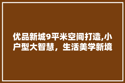 优品新城9平米空间打造,小户型大智慧，生活美学新境界 软装设计