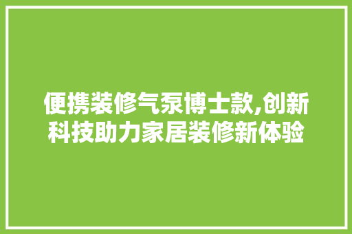 便携装修气泵博士款,创新科技助力家居装修新体验