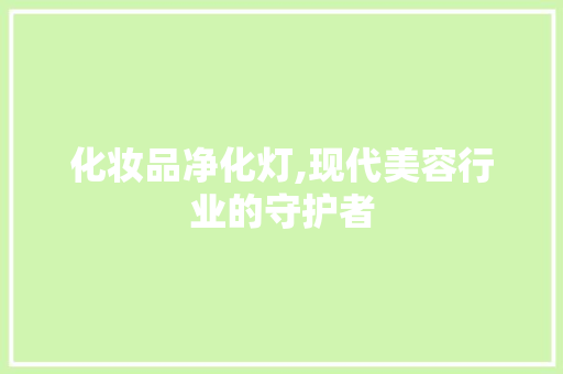 化妆品净化灯,现代美容行业的守护者