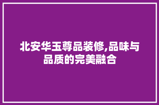 北安华玉尊品装修,品味与品质的完美融合 现代风格装饰