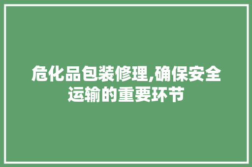危化品包装修理,确保安全运输的重要环节