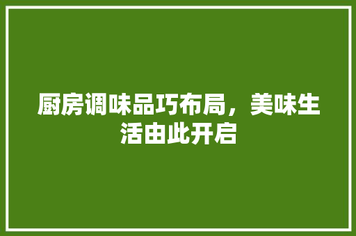 厨房调味品巧布局，美味生活由此开启 软装设计