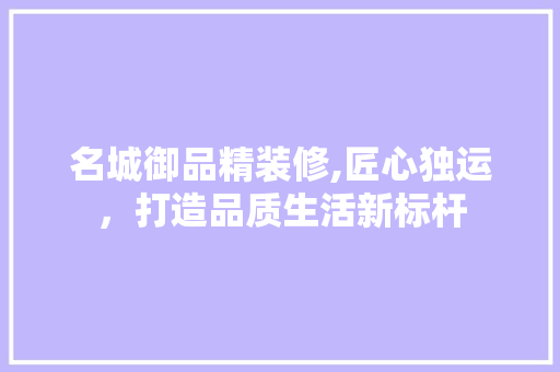 名城御品精装修,匠心独运，打造品质生活新标杆