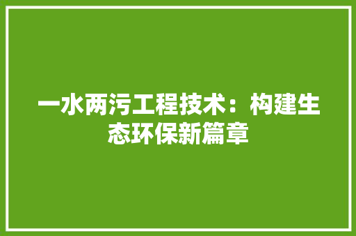一水两污工程技术：构建生态环保新篇章
