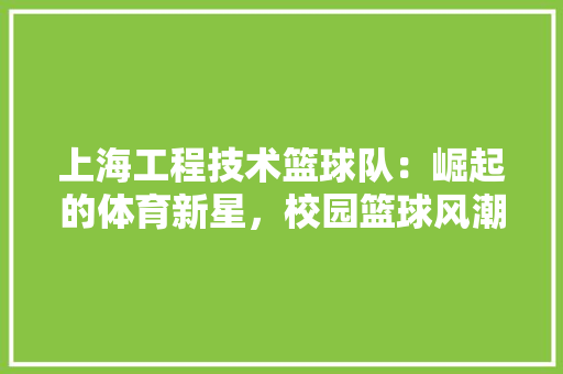 上海工程技术篮球队：崛起的体育新星，校园篮球风潮 软装设计