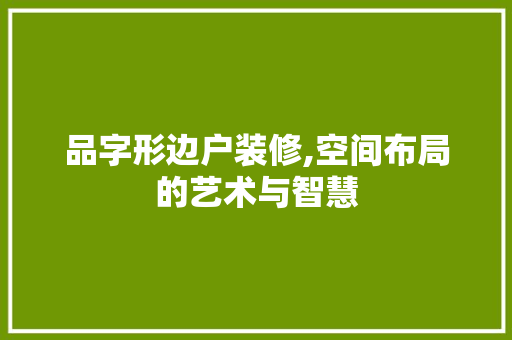 品字形边户装修,空间布局的艺术与智慧
