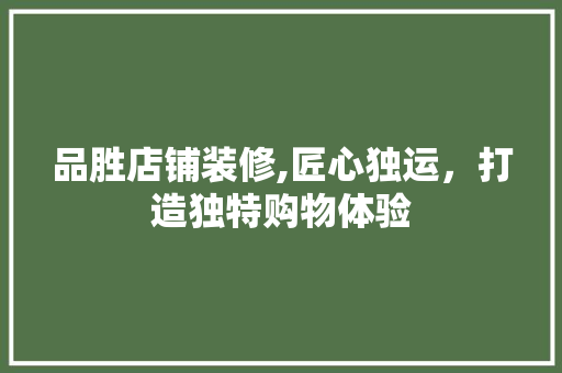 品胜店铺装修,匠心独运，打造独特购物体验 现代风格装饰